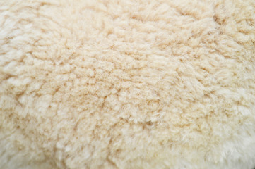 Alpaca wool close up