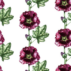 Handwork watercolor seamless pattern with dark red mallow flower on white background. Botanical illustration - 130082601