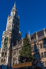 Fototapeta na wymiar Weihnachtsbaum vor dem Rathaus in München