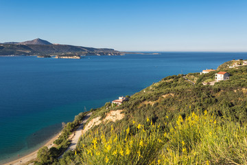 Yellow spring plants on hillside and beautiful seascape. Crete Island. Greece