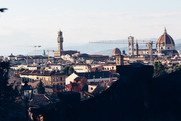 Fototapeta premium View of the city Florence