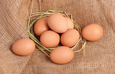 Chicken Egg , egg on a brown sackcloth