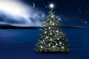 Christbaum in Winternacht