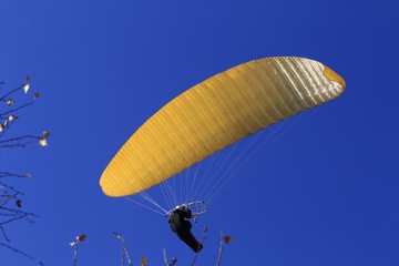Parapente