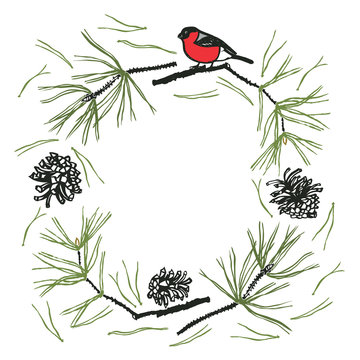 Frame with Pine twigs and Bullfinch