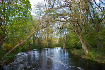 Flowing water in a small river