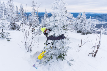 Young woman in bright yellow cap, ski mask and on snowboard embraces snow-covered fir-tree at mountain top