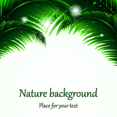 Eco white summer background with palm green and labeled lityami