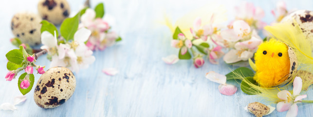 Apple blossom on blue.