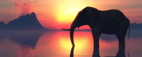Fototapete Rund Elefant und Sonnenuntergang © juanjo