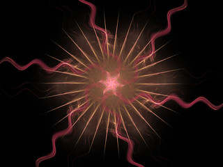 Fractal pattern of  pink  flower,  star with wavy and sharp rays on  black background