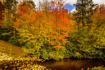 Fall Foliage along the Blue Ridge Parkway in North Carolina