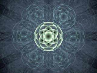 Fractal pattern of  abstract rose  on  black background