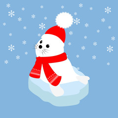 Seal baby on an ice floe