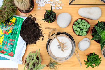 How to create a terrarium