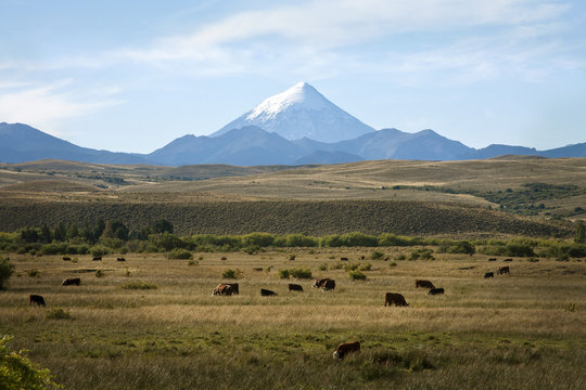View over Lanin volcano, Lanin National Park, Patagonia, Argentina 