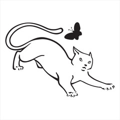 Kitten with butterfly on white background.