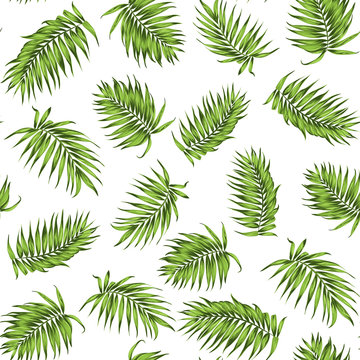 Tropical exotic palm tree branch leaves. Loose seamless jungle forest greenery pattern on white background. Vector design illustration for textile, fabric, wrapping, decoration.