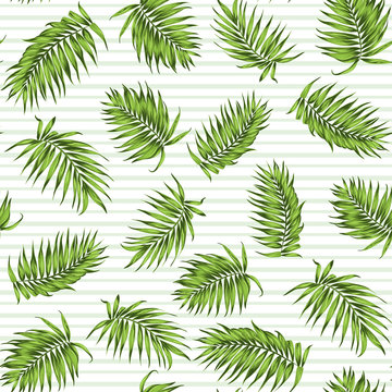 Tropical exotic palm tree branch leaves seamless jungle forest greenery pattern on white background with light green horizontal stripes. Vector design illustration.