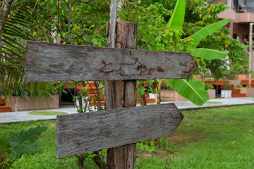 wooden signboard in the forest