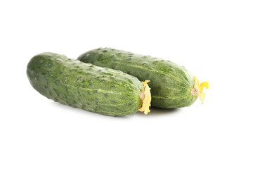 Fresh cucumbers isolated on a white background