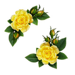 Yellow rose flowers arrangements - obrazy, fototapety, plakaty
