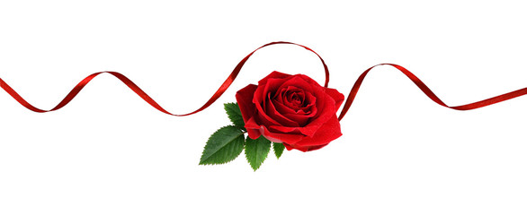 Red silk ribbon and rose flower