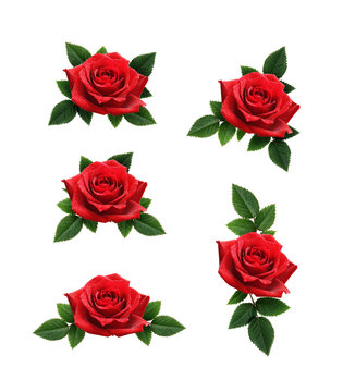 Set of red rose flowers decorations