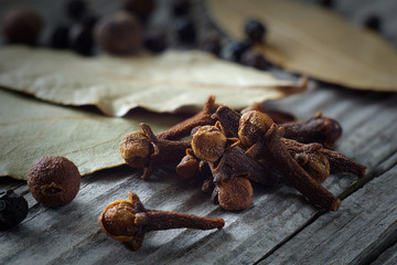 carnation close-up on a background of laurel leaves