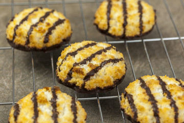Freshly made chocolate dipped macarons