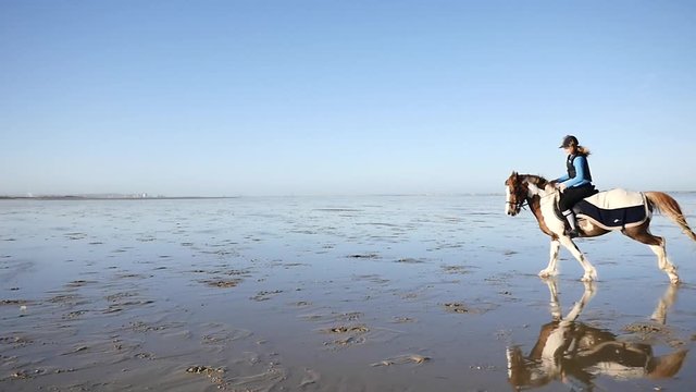 volte au galop (slow motion)