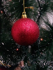 Natal