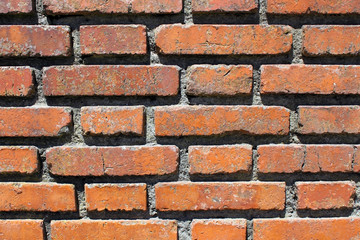 Red brick wall under sun