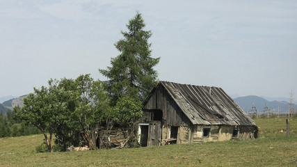 Fototapeta na wymiar Borgo pass, Bargau mountains, Romania