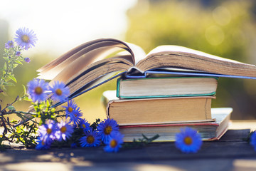 books on natural background.
