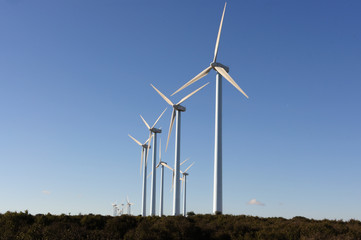 wind turbine