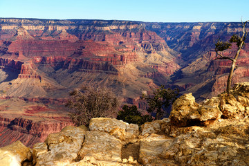 Grand Canyon Arizona