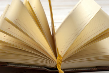 Open book on light table. Back to school. Copy space.