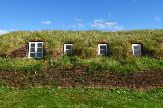Grassodendach (Island)