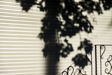 shadow on a wall