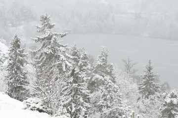 Snow covered winter landscape during snowfall