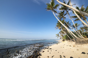 Strand, Palmen, Meer_1