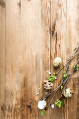Quail eggs, green branches on old wooden background. Easter background with copy space for text.