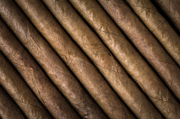 cigars in row as background