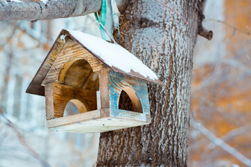 Old snowy bird feeder on a tree