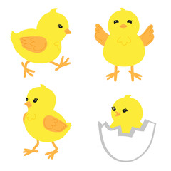 Set of cute little chickens in different poses. Hand drawn yellow chicks isolated on white. Vector illustration.