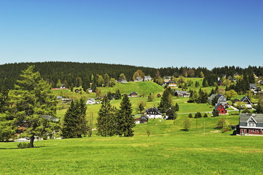 Pasture and forest, Erzgebirge, Saxony, Germany 