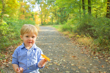adorable toddler boy walking in park during fall autumn season