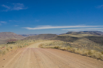 Fototapeta na wymiar Road and desert landscape, South Africa 