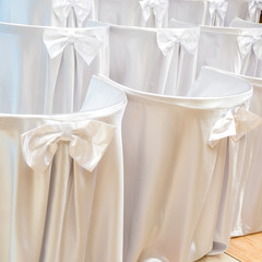 Chairs covered with white cloth on wedding ceremony in rows